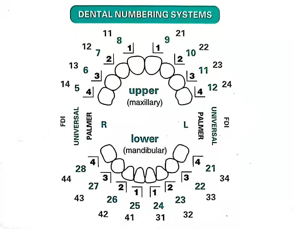 32 Pcs Dental Veneer Mold Set  - огляд і ціна Teeth Whitening Moulds