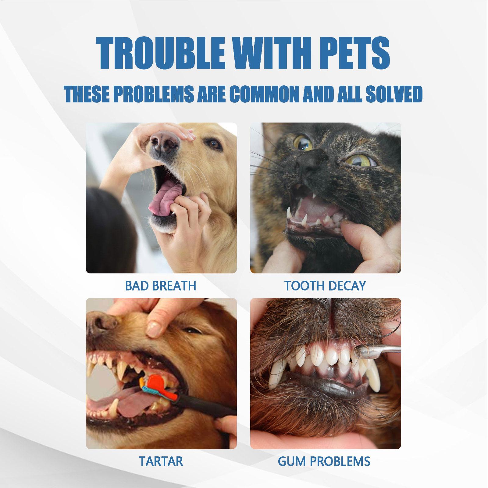 Pet OralTartar Remover Spray D - огляд і ціна Teeth Whitening Mouthwash